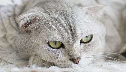 必赢官网——掌握胜利的秘密，从这里开始